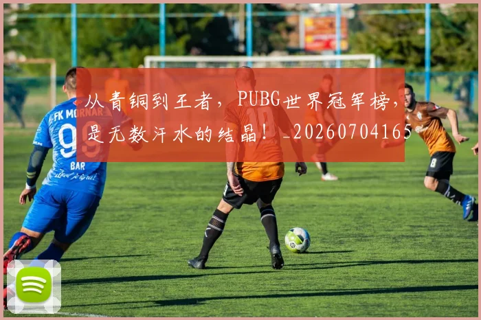 从青铜到王者，PUBG世界冠军榜，是无数汗水的结晶！_20260704165059